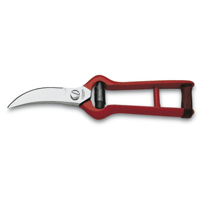 Garlic Shears
