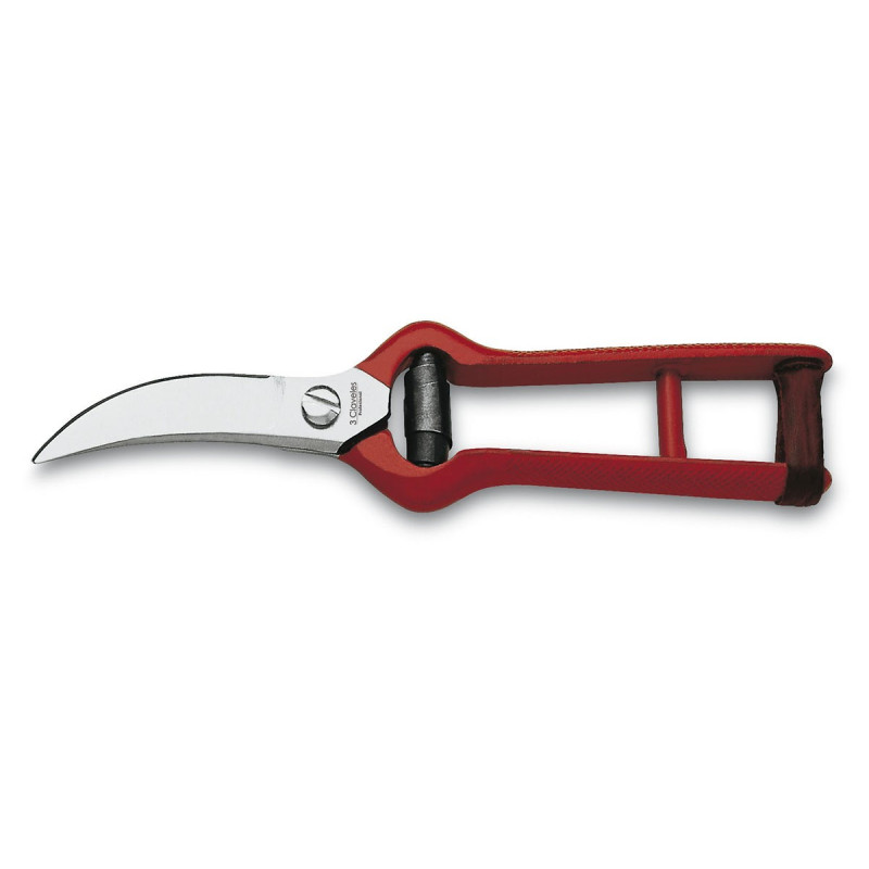 Garlic Shears