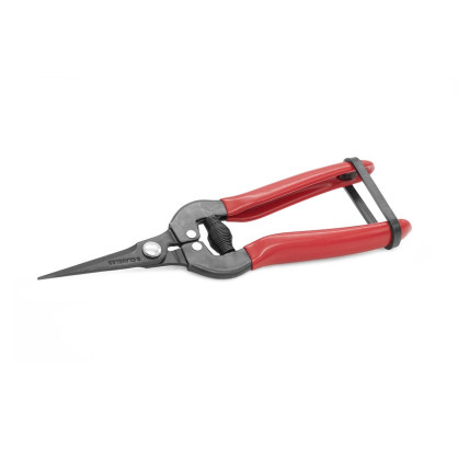 Grape Cleaner Shears 2