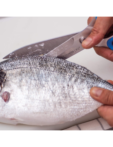 Ciseaux Cuisine - Poisson Large