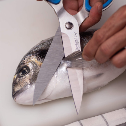 Large Kitchen - Fish Shears 2