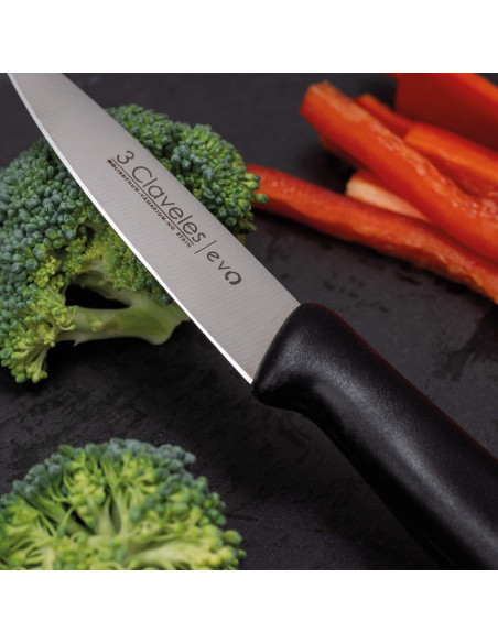 Cuchillo Verduras Evo