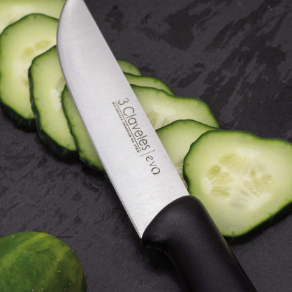Evo Kitchen Knife 2