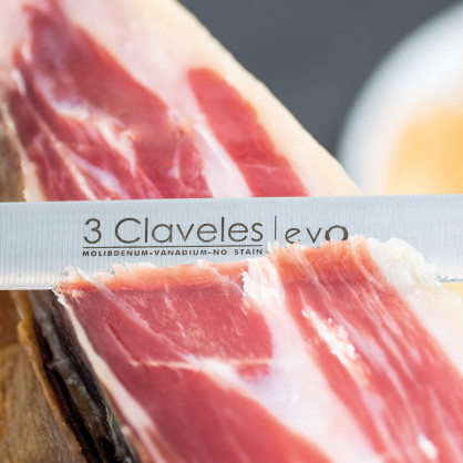Evo Slicing Knife 2