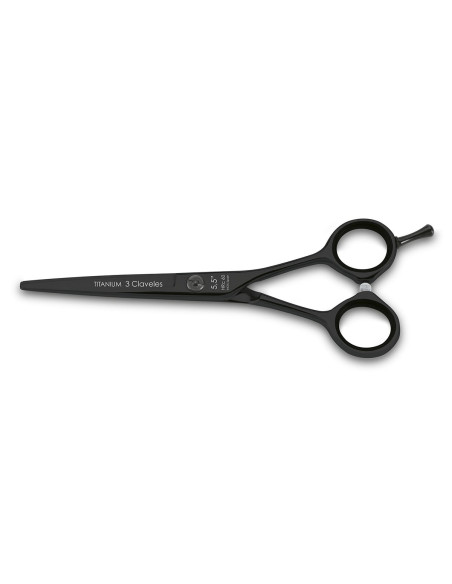 Titanium Hairdressing Scissors