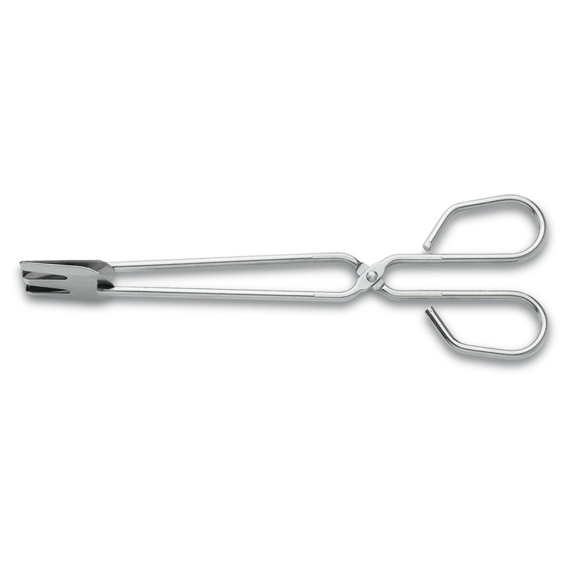 Fish Pliers