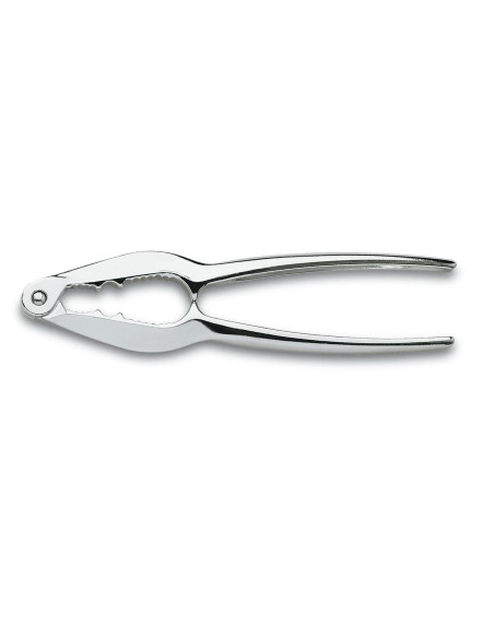 Chrome-Plated Nutscracker | 3 Claveles