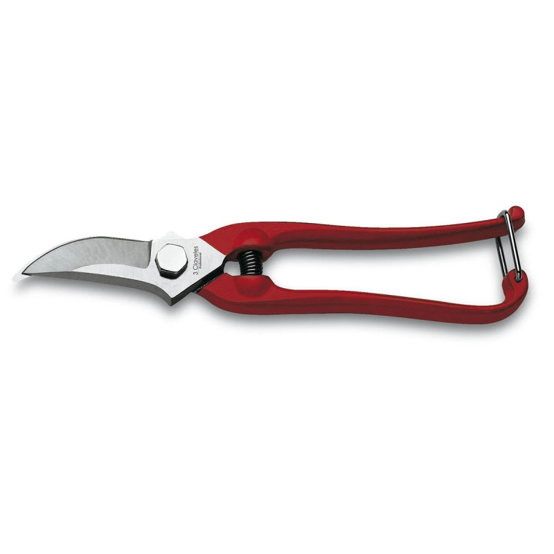 Grape Harvest and Garden Shears | 3 Claveles