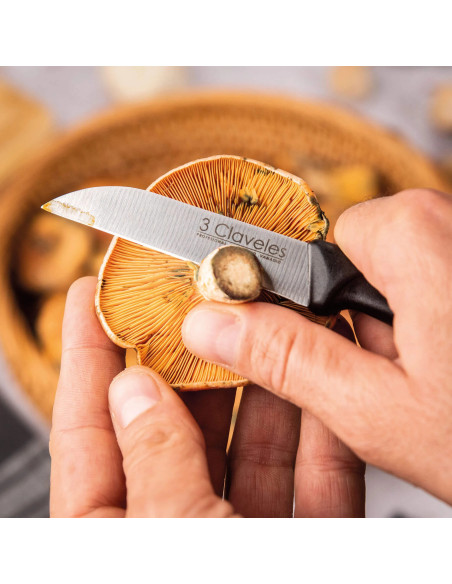 Peeling Knife | 3 Claveles