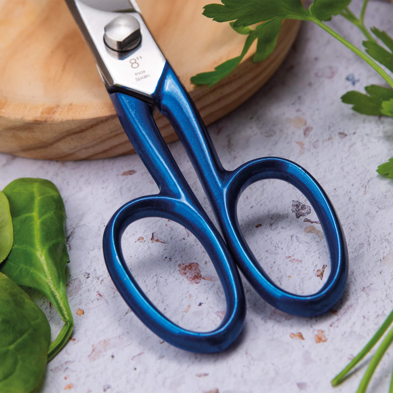 Ciseaux Cuisine Master | 3 Claveles