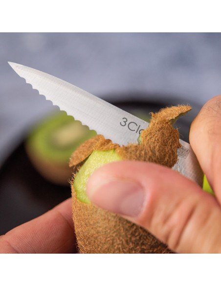 Paring Knife
