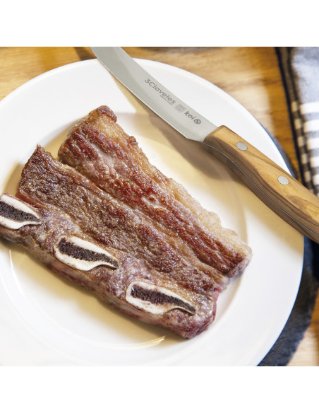 Set 4 Koi Steak Knife