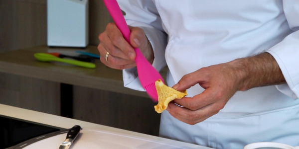 Limpiar, cocinar y conservar setas